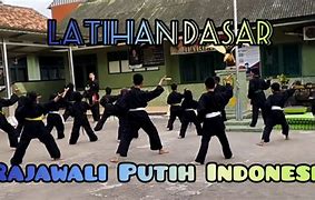 Silat Rajawali Putra